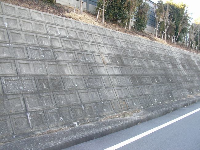 ｹﾝﾁ3.JPG